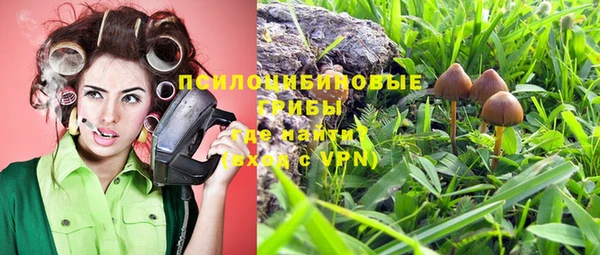 молекула духа Волосово