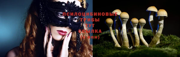 молекула духа Волосово
