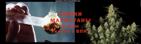 молекула духа Волосово