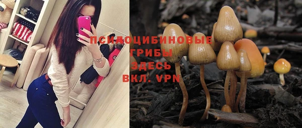 молекула духа Волосово