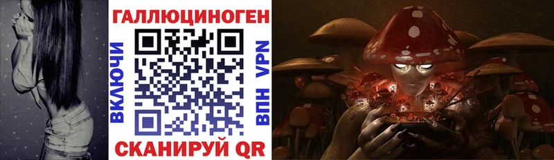 Купить  Лянтор  Псилоцибиновые грибы MAGIC MUSHROOMS 